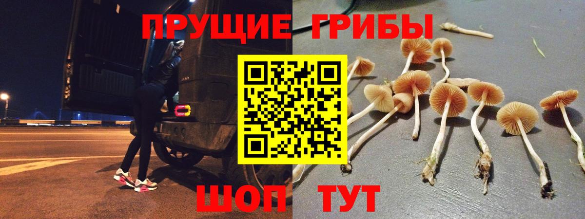 Черкесск  Псилоцибиновые грибы мицелий  Вход с VPN 