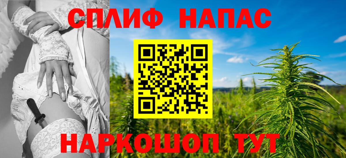 Каннабис планчик Черкесск